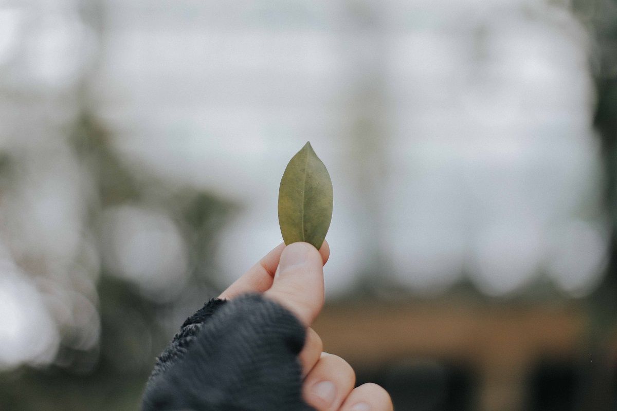 eduard-militaru-6TFMrTZC5dg-unsplash